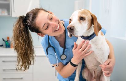 dog with smiling veterinarian